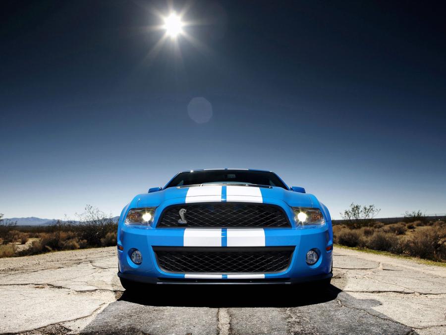  Shelby GT500 2009 года  (фото 14 из 21)